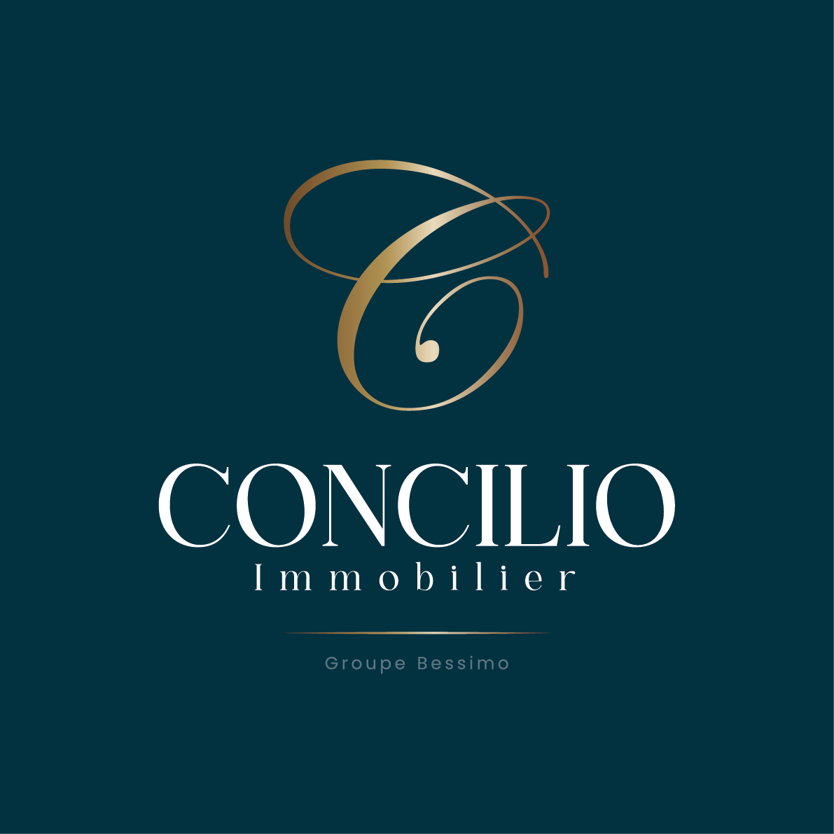 CONCILIO IMMOBILIER