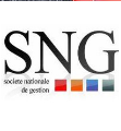 SNG IMMOBILIER