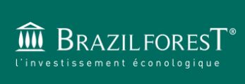 BRAZIL FOREST