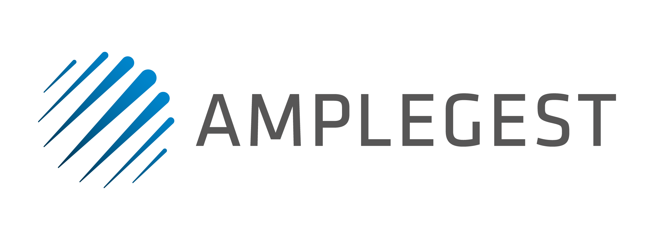 logo-AMPLEGEST